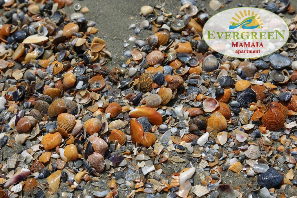 Evergreen Vlas Mamaia Sud Εξωτερικό φωτογραφία