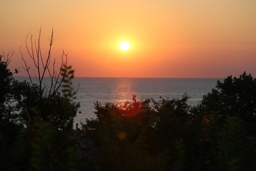 Evergreen Vlas Mamaia Sud Εξωτερικό φωτογραφία